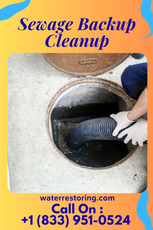 Sewage Backup Cleanup in West Union, SC