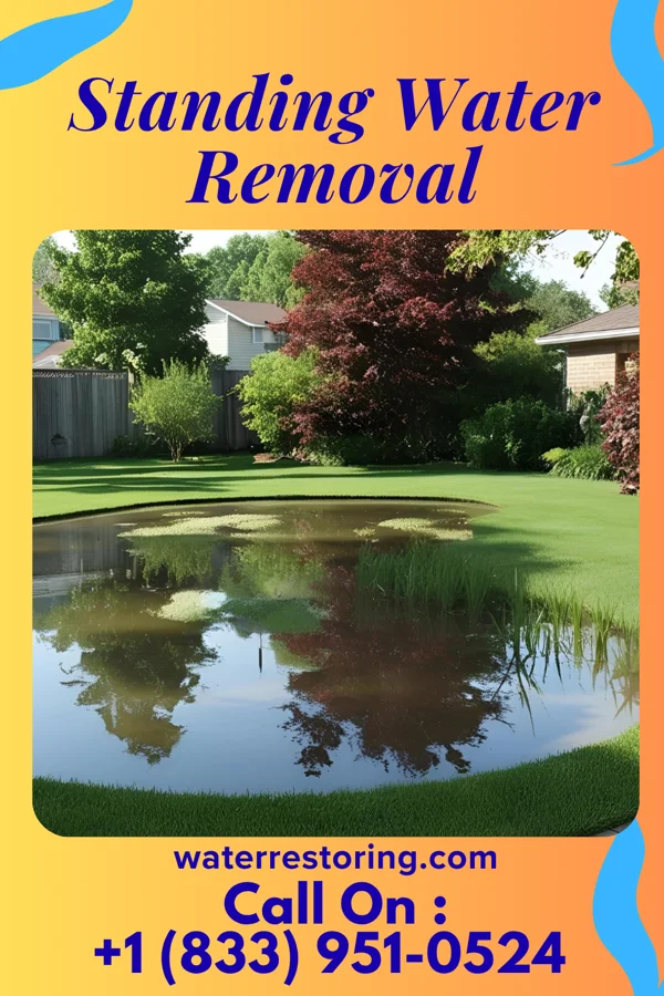 Standing Water Removal in West Union, SC